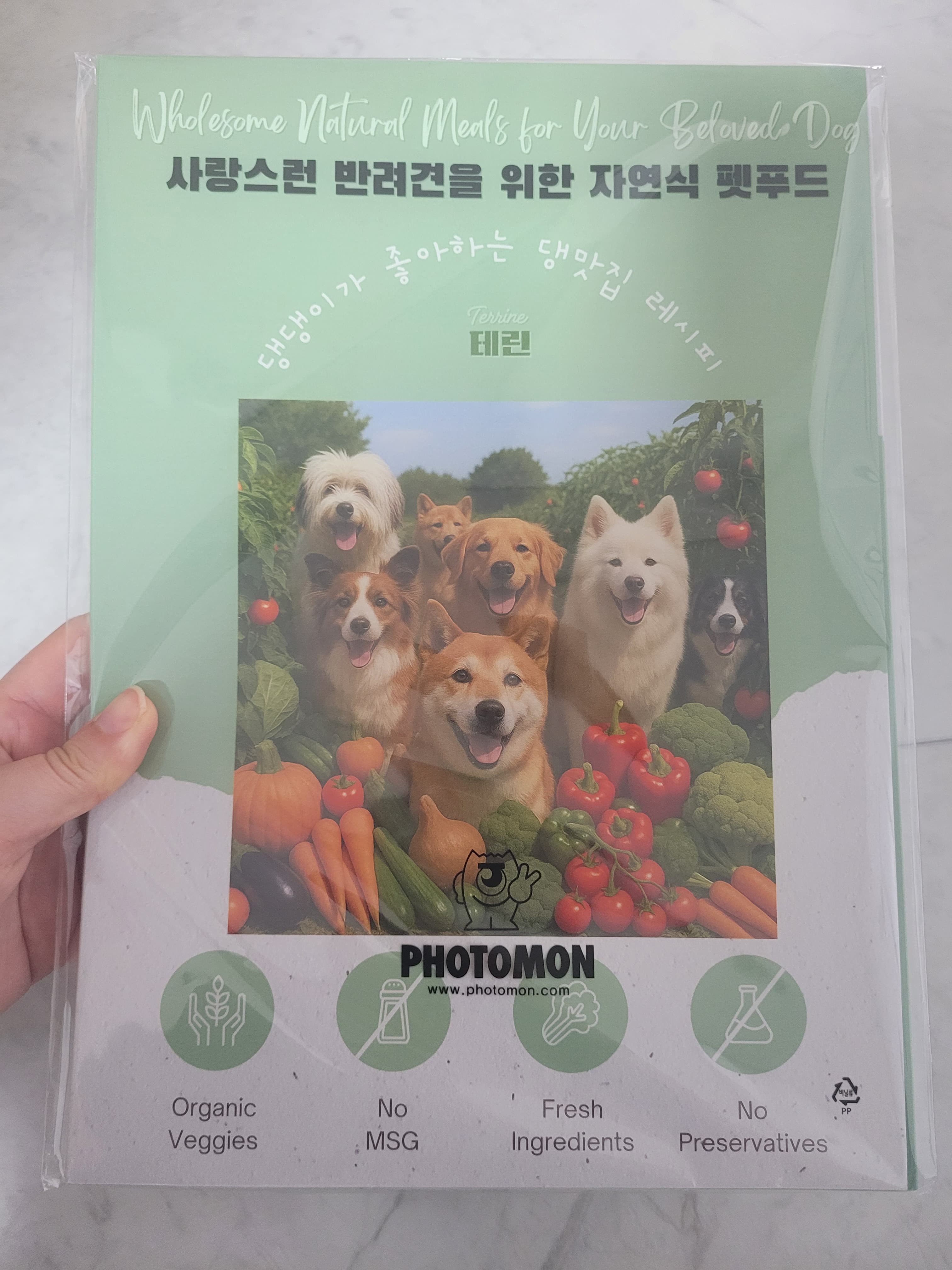 리뷰 슬라이드 이미지
