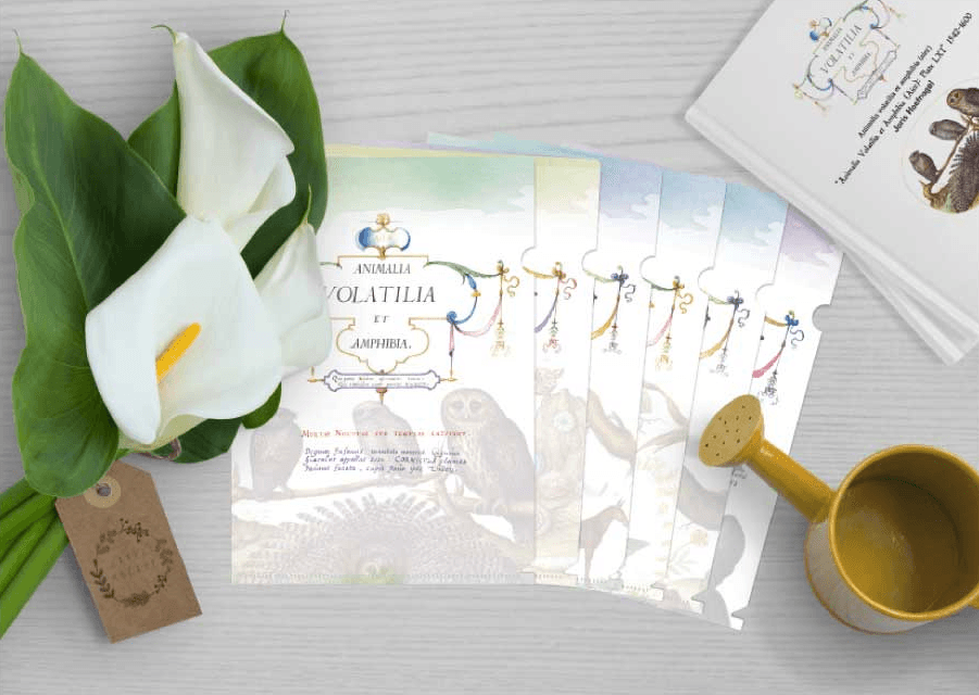 리뷰 슬라이드 이미지